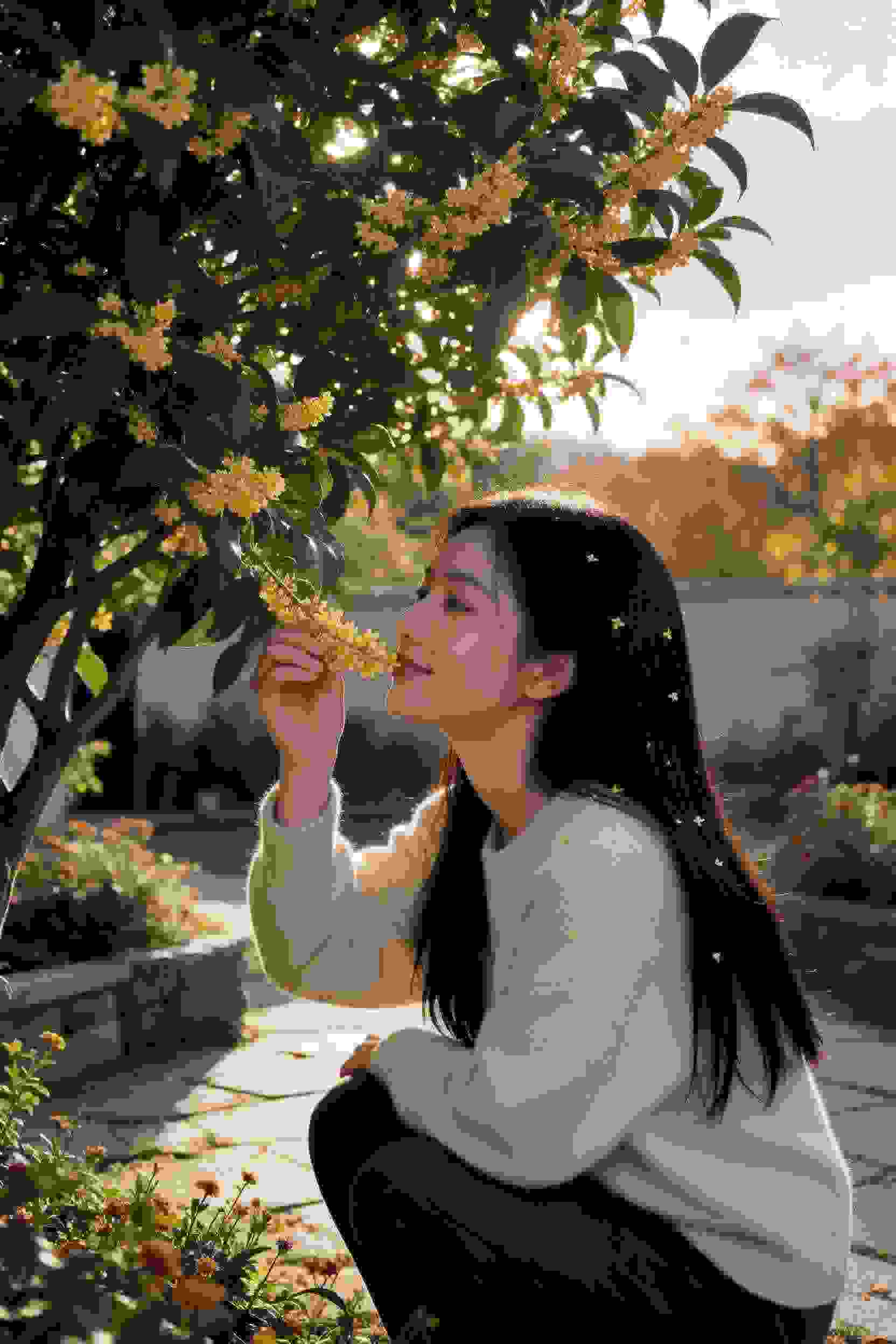 现代与古代碰撞